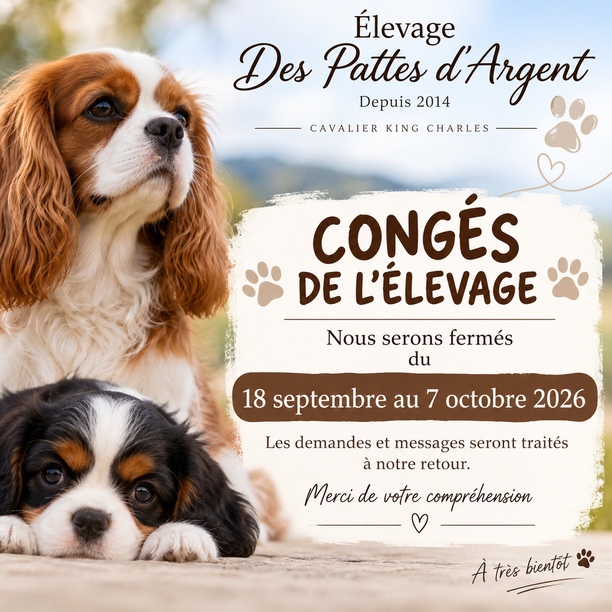 L Élevage des Pattes d Argent prend quelques jours de repos.